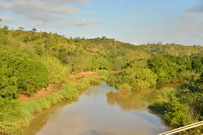 DSC_4354 (Large).JPG